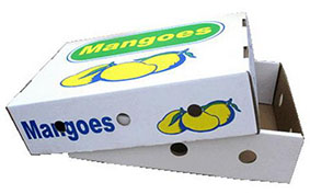 芒果纸箱